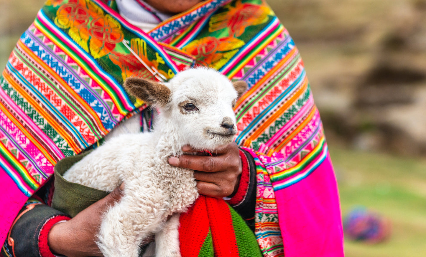 Woman holding baby Alpaca